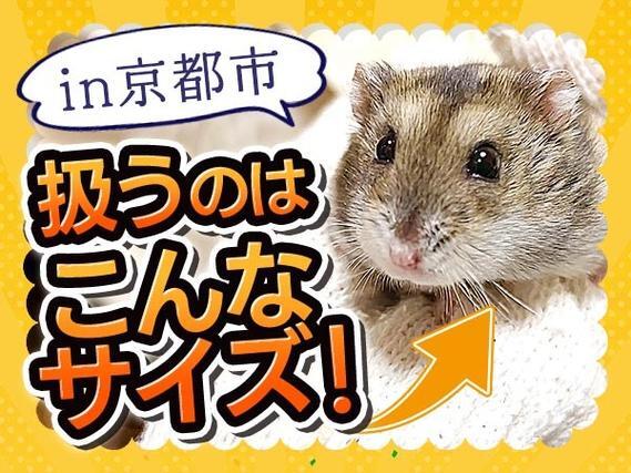 ＜住み込み求人＞手のひらサイズ部品の製造！日払い・週払いOK！＜京都府京都市＞【30代・40代活躍中】